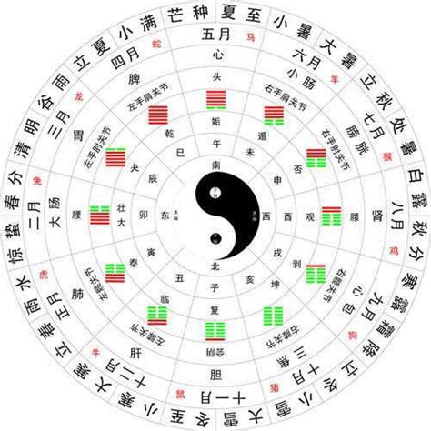 一字五行属什么|一字的五行属什么